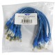 CAT5E PATCH CORD 1 FT - 10 Pack - Blue
